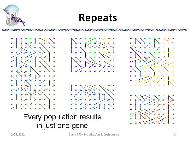 Repeats Every population results in just one gene 2/23/2021 Comp 790– Introduction & Coalescence