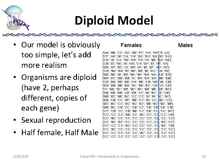 Diploid Model • Our model is obviously too simple, let’s add more realism •