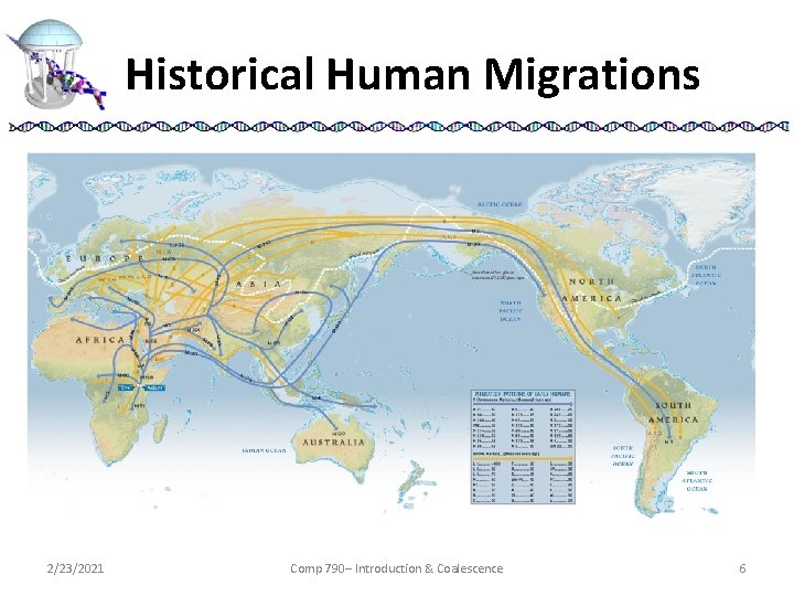 Historical Human Migrations 2/23/2021 Comp 790– Introduction & Coalescence 6 