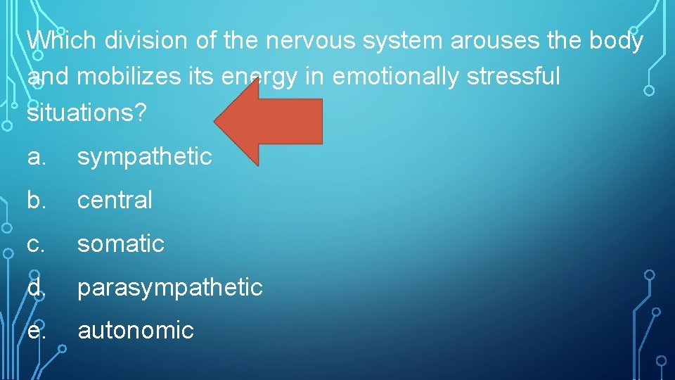Which division of the nervous system arouses the body and mobilizes its energy in