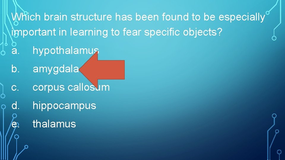 Which brain structure has been found to be especially important in learning to fear