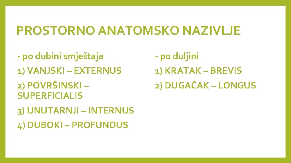 PROSTORNO ANATOMSKO NAZIVLJE - po dubini smještaja - po duljini 1) VANJSKI – EXTERNUS