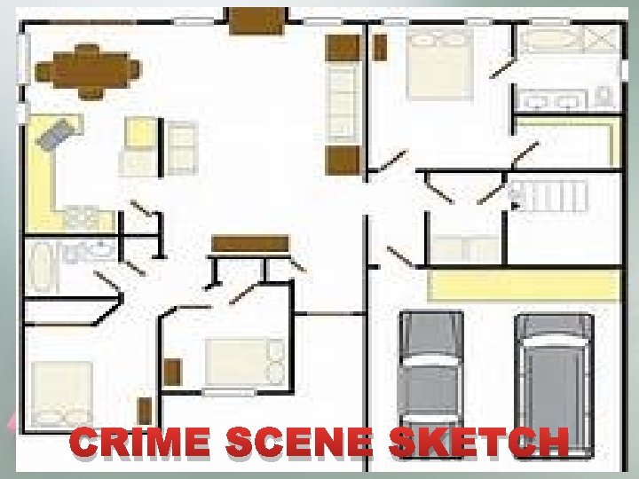 CRIME SCENE SKETCH 