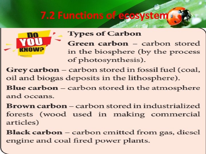 7. 2 Functions of ecosystem 7. 2 Functions of ecosystem