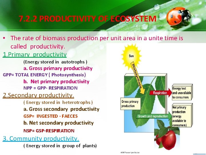 7. 2. 2 PRODUCTIVITY OF ECOSYSTEM • The rate of biomass production per unit 7. 2. 2 PRODUCTIVITY OF ECOSYSTEM • The rate of biomass production per unit