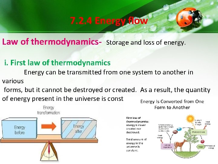 7. 2. 4 Energy flow Law of thermodynamics- Storage and loss of energy. i. 7. 2. 4 Energy flow Law of thermodynamics- Storage and loss of energy. i.