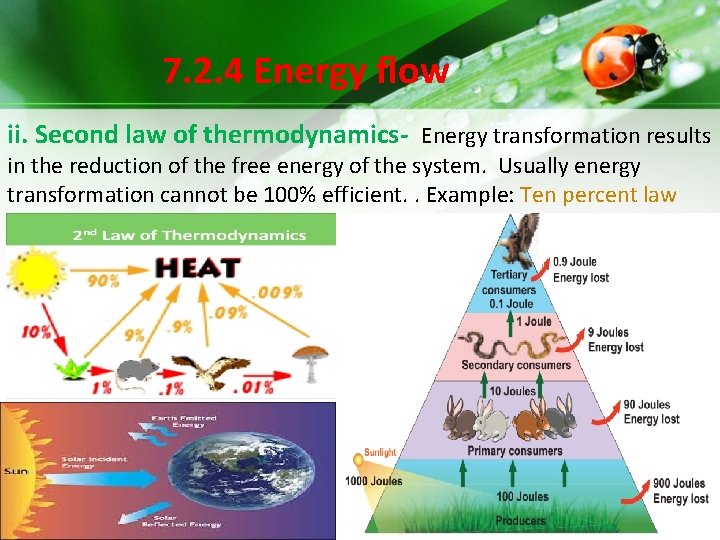 7. 2. 4 Energy flow ii. Second law of thermodynamics- Energy transformation results in 7. 2. 4 Energy flow ii. Second law of thermodynamics- Energy transformation results in