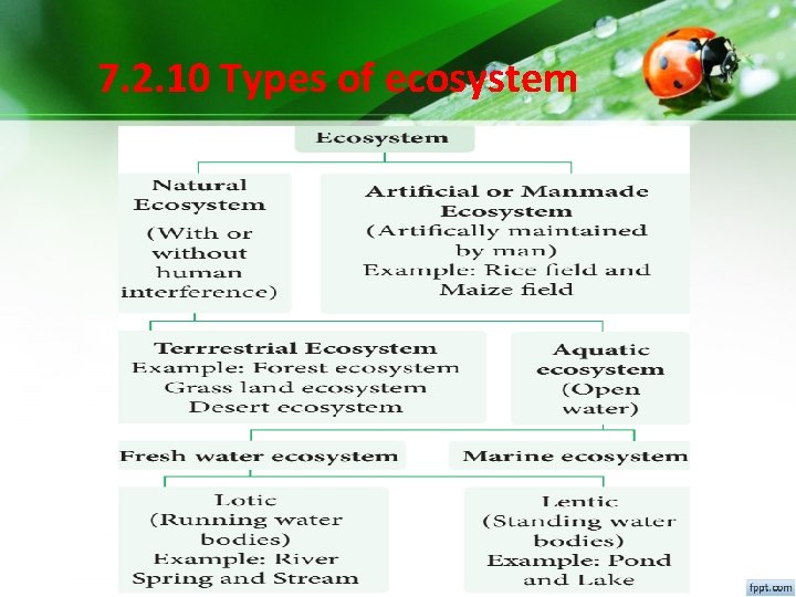 7. 2. 10 Types of ecosystem 7. 2. 10 Types of ecosystem