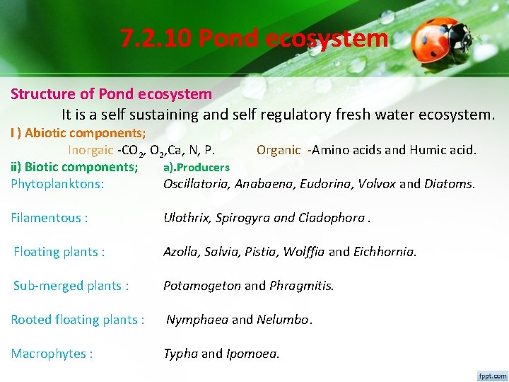 7. 2. 10 Pond ecosystem Structure of Pond ecosystem It is a self sustaining 7. 2. 10 Pond ecosystem Structure of Pond ecosystem It is a self sustaining