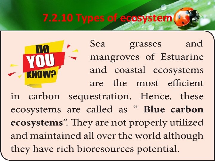 7. 2. 10 Types of ecosystem 7. 2. 10 Types of ecosystem