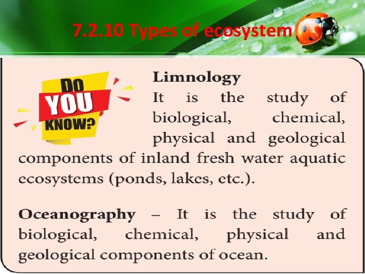 7. 2. 10 Types of ecosystem 7. 2. 10 Types of ecosystem