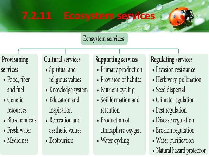 7. 2. 11 Ecosystem services 7. 2. 11 Ecosystem services