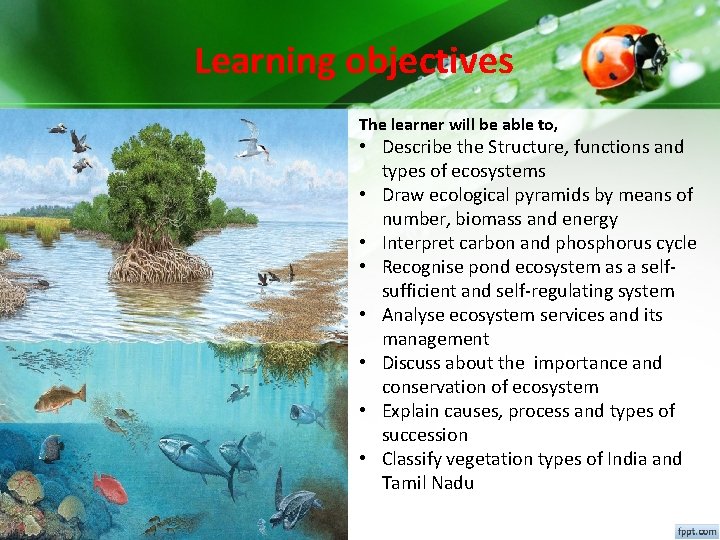 Learning objectives The learner will be able to, • Describe the Structure, functions and Learning objectives The learner will be able to, • Describe the Structure, functions and