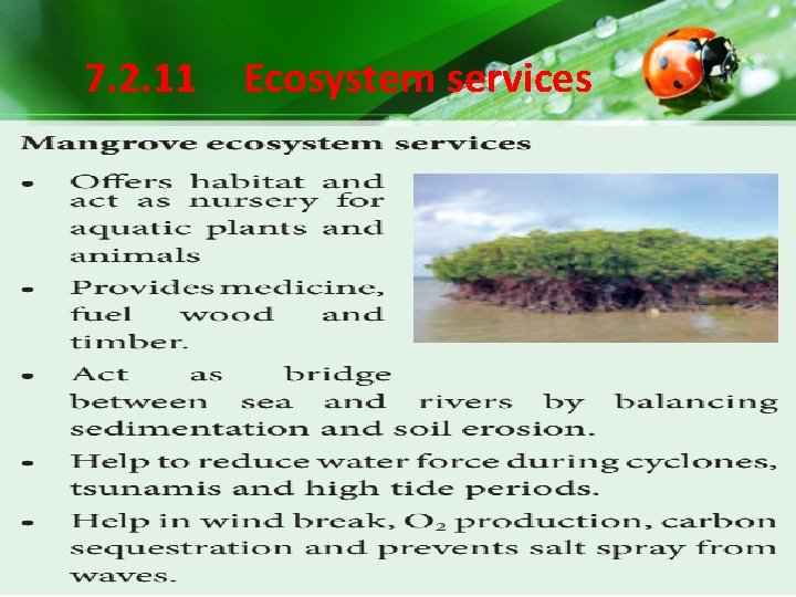 7. 2. 11 Ecosystem services 7. 2. 11 Ecosystem services