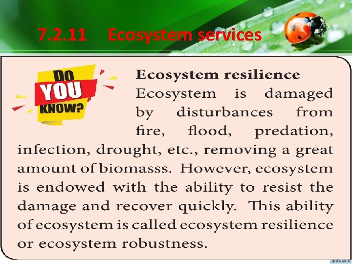 7. 2. 11 Ecosystem services 7. 2. 11 Ecosystem services