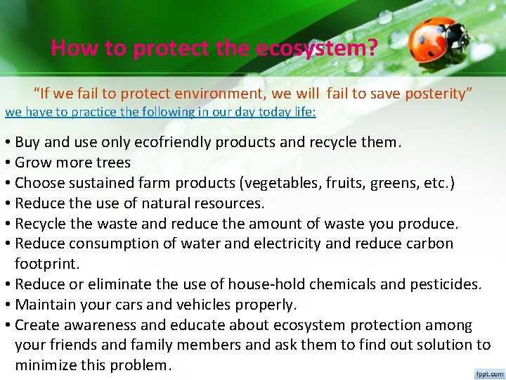 How to protect the ecosystem? “If we fail to protect environment, we will fail How to protect the ecosystem? “If we fail to protect environment, we will fail