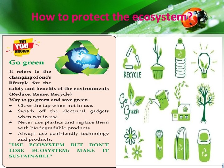 How to protect the ecosystem? How to protect the ecosystem?