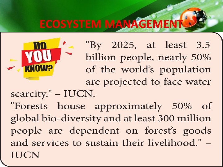 ECOSYSTEM MANAGEMENT ECOSYSTEM MANAGEMENT