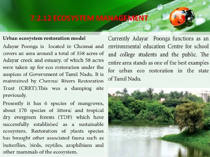 7. 2. 12 ECOSYSTEM MANAGEMENT 7. 2. 12 ECOSYSTEM MANAGEMENT