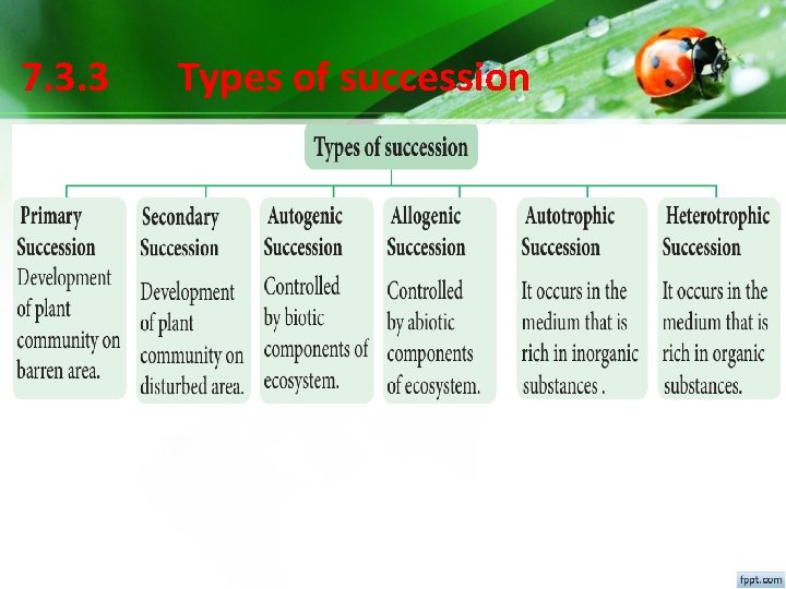 7. 3. 3 Types of succession 7. 3. 3 Types of succession