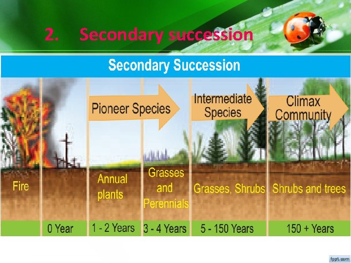 2. Secondary succession 2. Secondary succession
