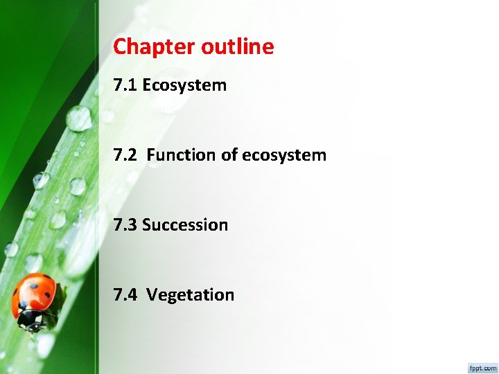 Chapter outline 7. 1 Ecosystem 7. 2 Function of ecosystem 7. 3 Succession 7. Chapter outline 7. 1 Ecosystem 7. 2 Function of ecosystem 7. 3 Succession 7.