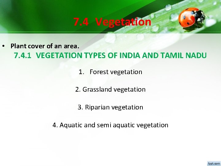 7. 4 Vegetation • Plant cover of an area. 7. 4. 1 VEGETATION TYPES 7. 4 Vegetation • Plant cover of an area. 7. 4. 1 VEGETATION TYPES