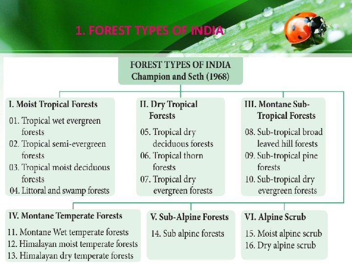 1. FOREST TYPES OF INDIA 1. FOREST TYPES OF INDIA