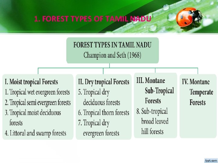 1. FOREST TYPES OF TAMIL NADU 1. FOREST TYPES OF TAMIL NADU