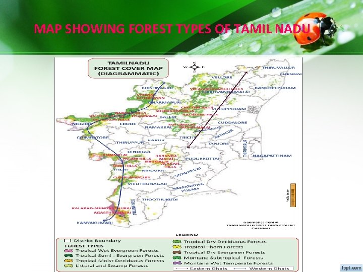 MAP SHOWING FOREST TYPES OF TAMIL NADU MAP SHOWING FOREST TYPES OF TAMIL NADU