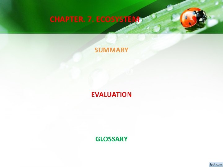 CHAPTER. 7. ECOSYSTEM SUMMARY EVALUATION GLOSSARY CHAPTER. 7. ECOSYSTEM SUMMARY EVALUATION GLOSSARY