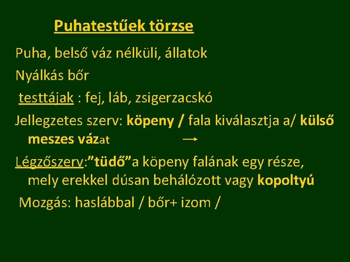 Puhatestűek törzse Puha, belső váz nélküli, állatok Nyálkás bőr testtájak : fej, láb, zsigerzacskó