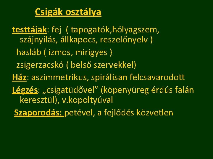 Csigák osztálya testtájak: fej ( tapogatók, hólyagszem, szájnyílás, állkapocs, reszelőnyelv ) hasláb ( izmos,