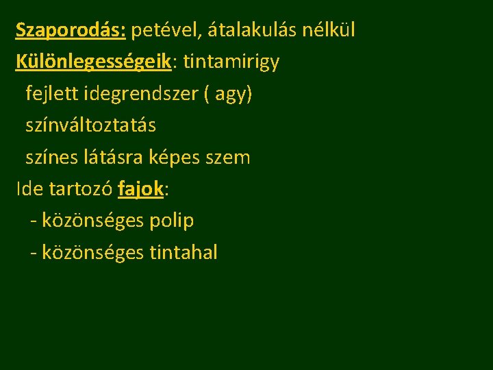 Szaporodás: petével, átalakulás nélkül Különlegességeik: tintamirigy fejlett idegrendszer ( agy) színváltoztatás színes látásra képes