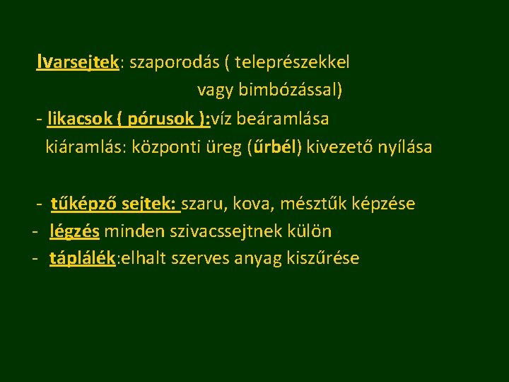 Ivarsejtek: szaporodás ( teleprészekkel vagy bimbózással) - likacsok ( pórusok ): víz beáramlása kiáramlás: