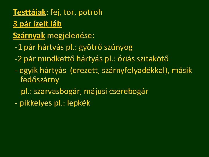 Testtájak: fej, tor, potroh 3 pár ízelt láb Szárnyak megjelenése: -1 pár hártyás pl.