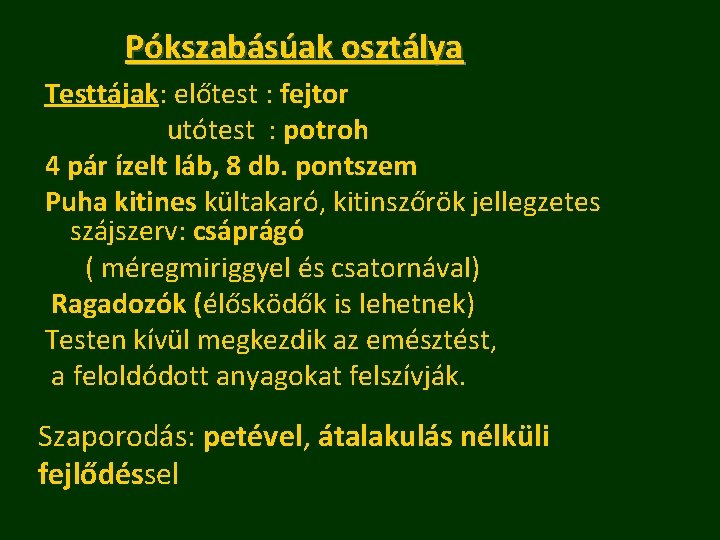 Pókszabásúak osztálya Testtájak: előtest : fejtor utótest : potroh 4 pár ízelt láb, 8