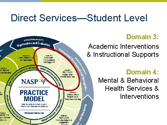 Direct Services—Student Level Domain 3: Academic Interventions & Instructional Supports Domain 4: Mental &