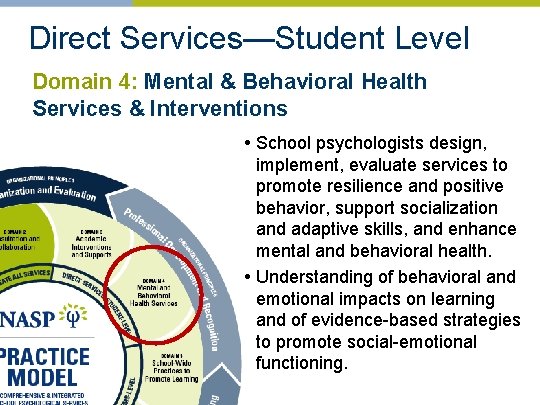 Direct Services—Student Level Domain 4: Mental & Behavioral Health Services & Interventions • School