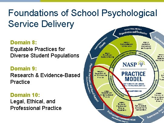 Foundations of School Psychological Service Delivery Domain 8: Equitable Practices for Diverse Student Populations