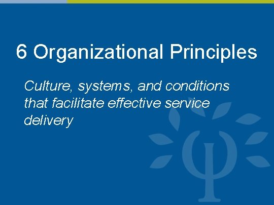 6 Organizational Principles Culture, systems, and conditions that facilitate effective service delivery 