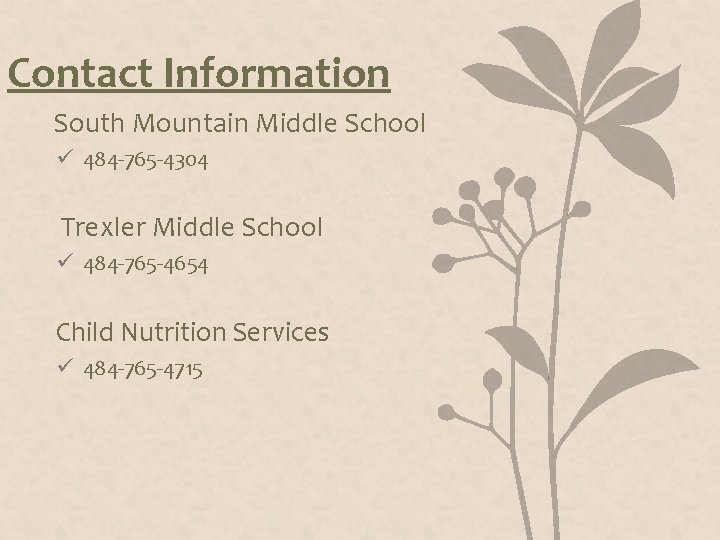 Contact Information South Mountain Middle School ü 484 -765 -4304 Trexler Middle School ü Contact Information South Mountain Middle School ü 484 -765 -4304 Trexler Middle School ü