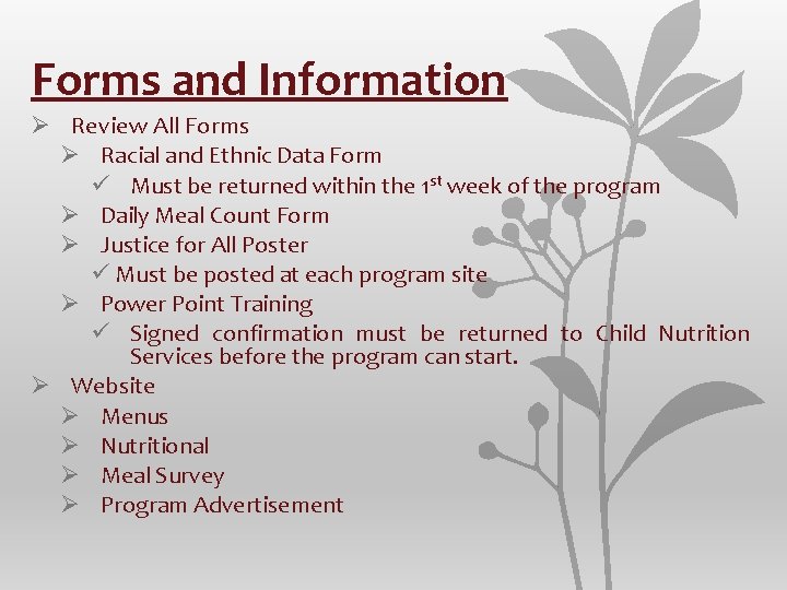 Forms and Information Ø Review All Forms Ø Racial and Ethnic Data Form ü Forms and Information Ø Review All Forms Ø Racial and Ethnic Data Form ü