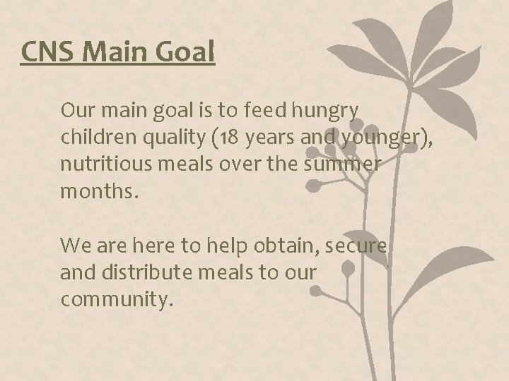 CNS Main Goal Our main goal is to feed hungry children quality (18 years CNS Main Goal Our main goal is to feed hungry children quality (18 years