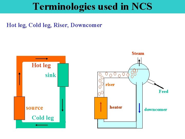 Terminologies used in NCS Hot leg, Cold leg, Riser, Downcomer Steam Hot leg sink