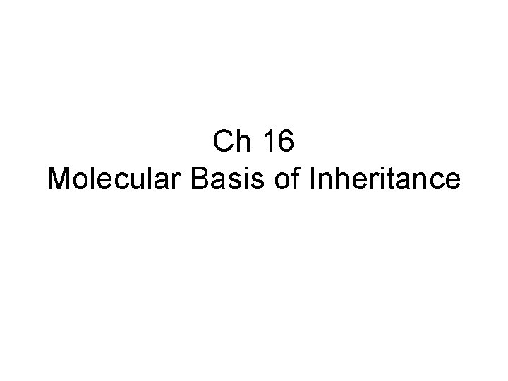 Ch 16 Molecular Basis of Inheritance 
