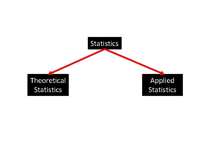 Statistics Theoretical Statistics Applied Statistics 