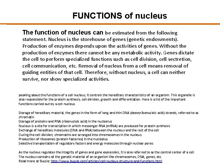 FUNCTIONS of nucleus The function of nucleus can be estimated from the following statement.