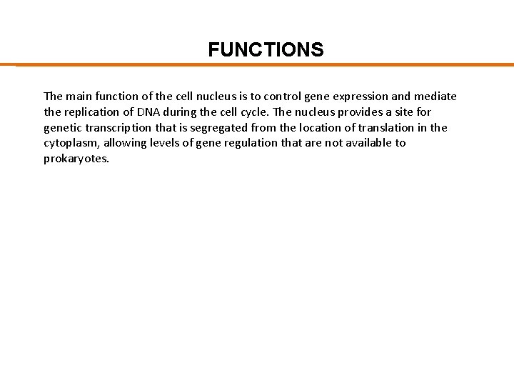 FUNCTIONS The main function of the cell nucleus is to control gene expression and