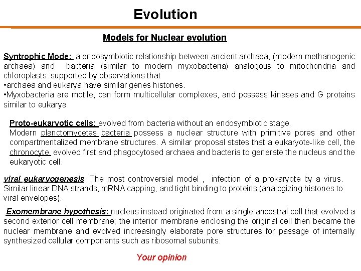 Evolution Models for Nuclear evolution Syntrophic Mode: a endosymbiotic relationship between ancient archaea, (modern